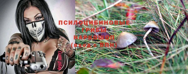 гидра Алексеевка