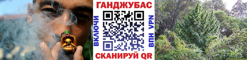 Бошки марихуана MAZAR  площадка состав  Кремёнки 